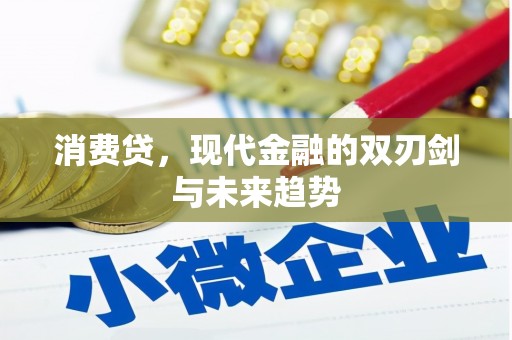 容县消费贷，现代金融的双刃剑与未来趋势