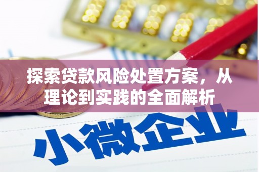 容县探索贷款风险处置方案，从理论到实践的全面解析