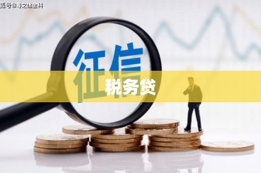 容县税务贷