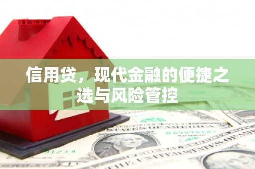 容县信用贷，现代金融的便捷之选与风险管控