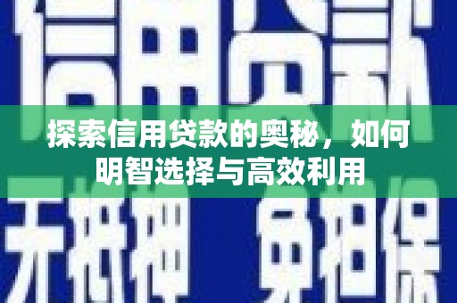 容县探索信用贷款的奥秘，如何明智选择与高效利用