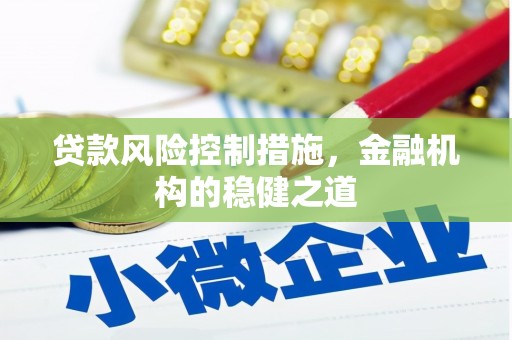 容县贷款风险控制措施，金融机构的稳健之道