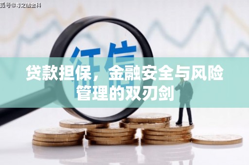 容县贷款担保，金融安全与风险管理的双刃剑