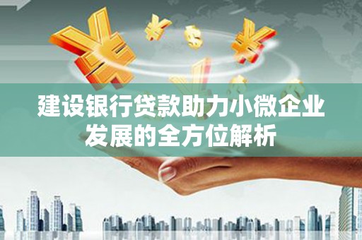 容县建设银行贷款助力小微企业发展的全方位解析