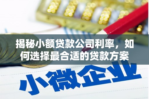 容县揭秘小额贷款公司利率，如何选择最合适的贷款方案