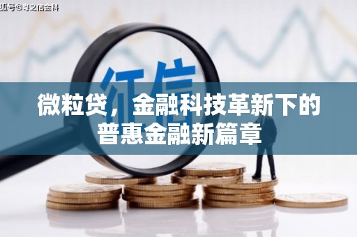 容县微粒贷，金融科技革新下的普惠金融新篇章