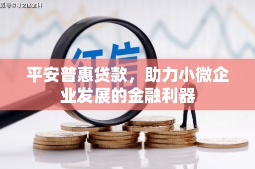 容县平安普惠贷款，助力小微企业发展的金融利器