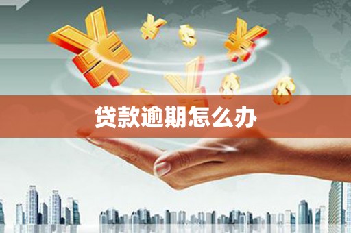 容县贷款逾期怎么办