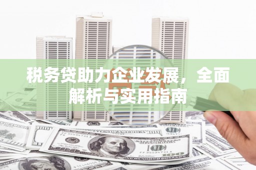 容县税务贷助力企业发展，全面解析与实用指南