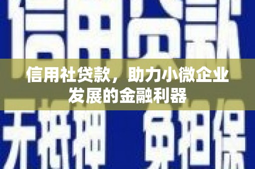 容县信用社贷款，助力小微企业发展的金融利器