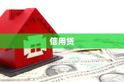 容县信用贷