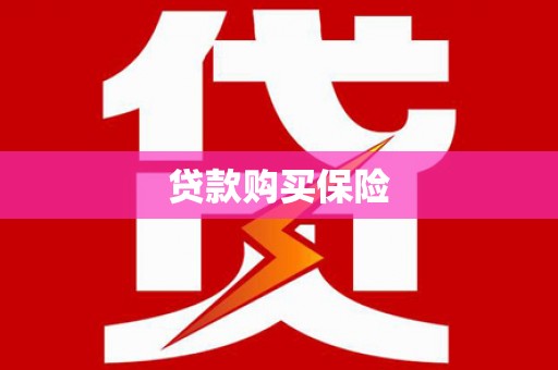 容县贷款购买保险