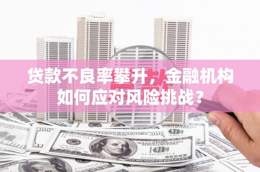 容县贷款不良率攀升，金融机构如何应对风险挑战？