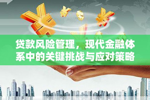 容县贷款风险管理，现代金融体系中的关键挑战与应对策略