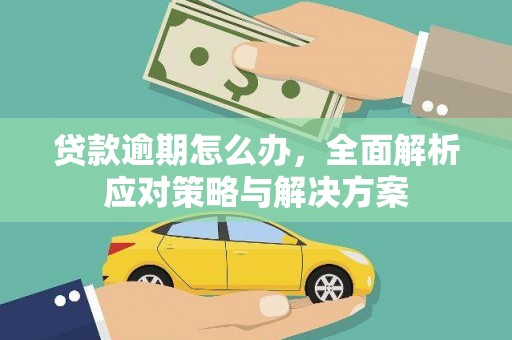 容县贷款逾期怎么办，全面解析应对策略与解决方案