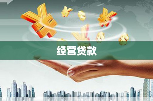 容县经营贷款
