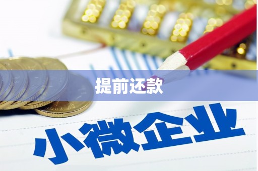 容县提前还款