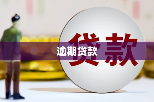 容县逾期贷款