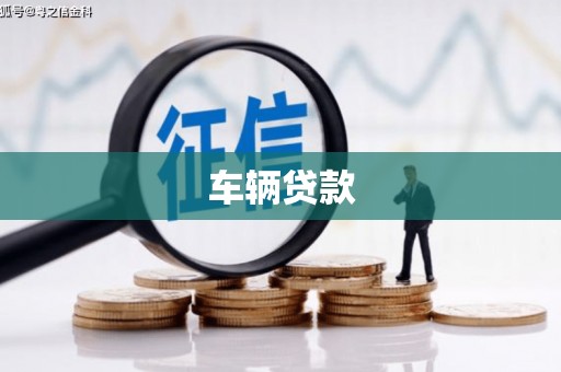 容县车辆贷款